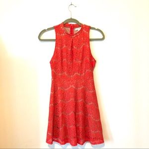 Orange Lace Wedding Guest Dress